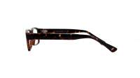 Opal OWII182 C28 55-15 Tartaruga