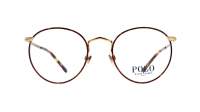 Polo Ralph Lauren PH1179 9384 48-20 Tartaruga