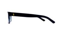 Polo Ralph Lauren PH2117 5470 54-16 Blu