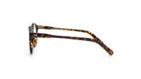 Moscot Miltzen MILTZEN 44 TORTOISE DEM. Żółw