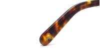 Moscot Miltzen MILTZEN 44 TORTOISE DEM. Żółw