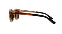 Maui Jim Koko head H737-10M 48-22 Escama