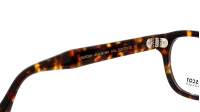 Moscot Lemtosh LEMTOSH 44 TORTOISE DEM. Żółw