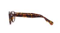 Moscot LEMTOSH 44 TORTOISE DEM.