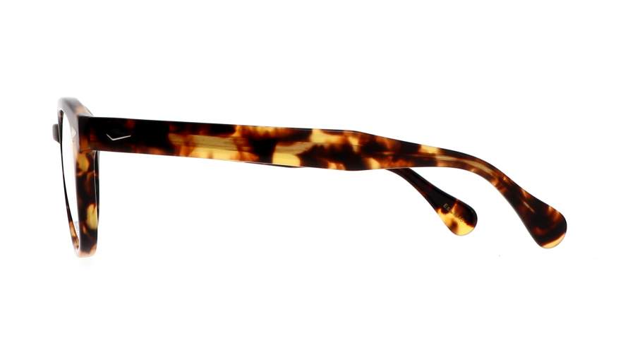 moscot-lemtosh-classic-havana-