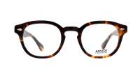 Moscot LEMTOSH 46 CLASSIC HAVANA DEM.