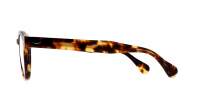 Moscot LEMTOSH 46 CLASSIC HAVANA DEM.