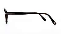 Tom Ford FT5664-B/V 052 45-22 Escama