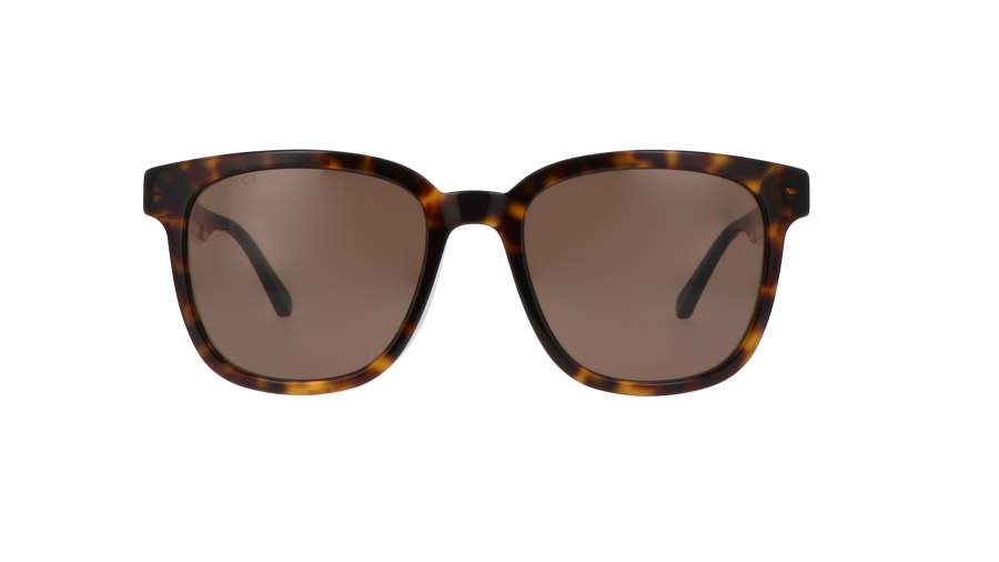 Sunglasses Gucci GG0848SK 003 54-20 Tortoise Medium in stock