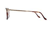 Matsuda M3092 49-21 Antique Gold / Matte Dark Tortoise