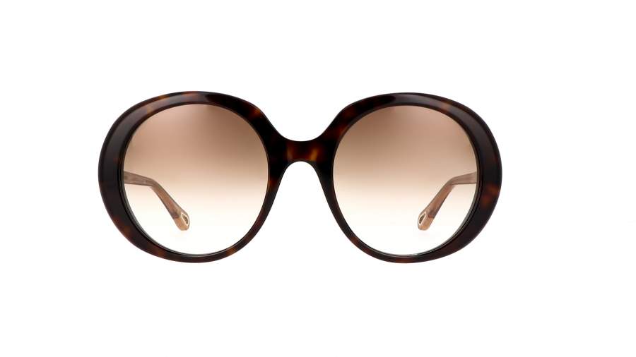 Sunglasses Chloé Esther Tortoise CH0007S 004 54-21 Medium Gradient in stock