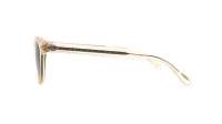 Oliver peoples Sheldrake sun OV5036S 158052 49-22 Trasparente