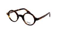 Moscot Zolman ZOLMAN 42 CLASSIC HAVANA DEM. Żółw