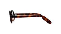 Moscot ZOLMAN 42 AMBER TORTOISE DEM.