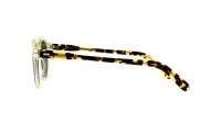 Moscot MILTZEN SUN 46 CITRON TORTOISE