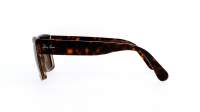 Ray-Ban Inverness RB2191 1292/57 54-18 Żółw
