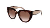 Prada Eyewear PR 14WS 01R0A6 52-20 Skildpadde