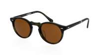 Oliver peoples Gregory peck 1962 OV5456SU 168053 50-23 Emerald Bark