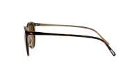 Oliver peoples O’malley sun OV5183S 166653 48-22 Tortuga