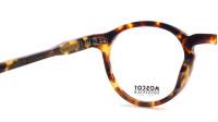 Moscot Miltzen MILTZEN 44 CLASSIC HAVANA DEM. Żółw