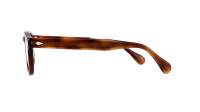 Moscot Lemtosh LEMTOSH 46 TOBACCO DEM. Brązowy