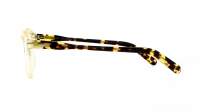 Moscot MILTZEN 44 CITRON TORTOISE DEMO
