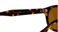Moscot LEMTOSH SUN 46 TORTOISE COSMITAN
