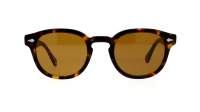 Moscot LEMTOSH SUN 46 TORTOISE COSMITAN