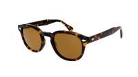 Moscot LEMTOSH SUN 46 TORTOISE COSMITAN
