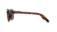 Moscot MILTZEN SUN 46 TORTOISE G15