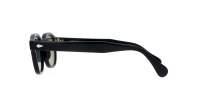 Moscot Lemtosh LEMTOSH SUN 46 BLACK FOREST WOOD Schwarz