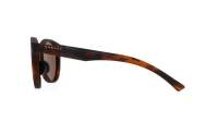 Oakley Spindrift OO9474 01 52-20 Tartaruga