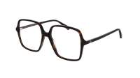 Gucci GG1003O 002 53-16 Tartaruga