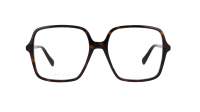 Gucci GG1003O 002 53-16 Tartaruga