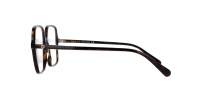 Gucci GG1003O 002 53-16 Tartaruga