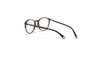 CHANEL Signature CH3413 C714 51-19 Ecaille