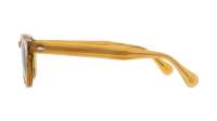 Moscot Lemtosh LEMTOSH SUN 49 BLONDE CALIBAR Żółw
