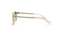 Moscot Lemtosh LEMTOSH SUN 49 FLESH CALIBAR GR. Flesh