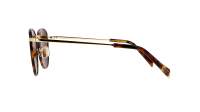 Maui Jim Noni H854-10 54-20 Školjka