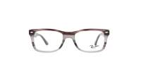 Ray-Ban The Timeless Grey RX5228 RB5228 8055 50-17 Small