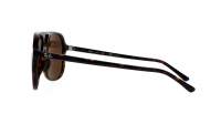 Ray-Ban Bill RB2198 902/57 56-14 Żółw