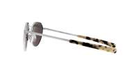 Randolph Hamilton HN006 Matte Chrome