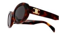 CELINE Triomphe 01 CL40194U 53A 52-22 Escama