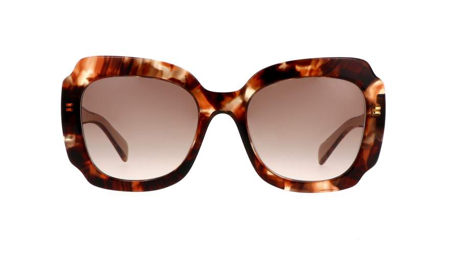 Sunglasses Prada PR16YS 01R0A6 52-19 Tortoise Havana in stock