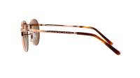 Ray-ban New round  RB3637 9202/33 50-21 Rose gold