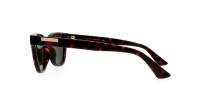 Sunglasses Gucci GG1116S 002 51-20 Tortoise in stock | Price 97,42