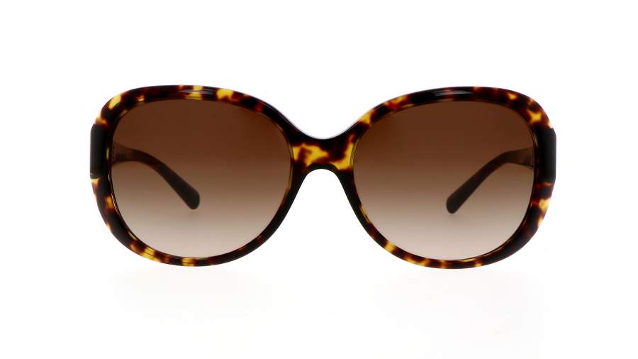 Sonnenbrille Giorgio Armani AR8047 502613 56-16 Havana Tortoise Breit Gradient Gläser auf Lager