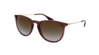 Ray-Ban Erika RB4171 6593/T5 54-18 Transparent Dark Brown