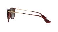 Ray-Ban Erika RB4171 6593/T5 54-18 Transparent Dark Brown