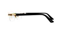 Cartier CT0287O 001 54-18 Oro